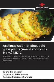 Acclimatization of pineapple glass plants (Ananas comosus L. Merr.) MD-2