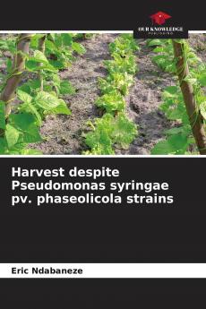 Harvest despite Pseudomonas syringae pv. phaseolicola strains