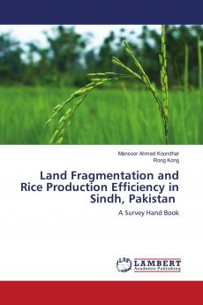 Land Fragmentation and Rice Production Efficiency in Sindh Pakistan