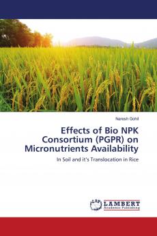 Effects of Bio NPK Consortium (PGPR) on Micronutrients Availability