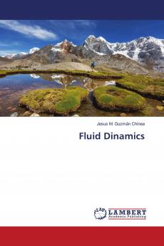 Fluid Dinamics