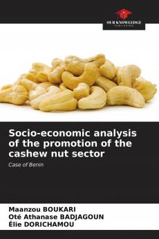 Socio-economic analysis of the promotion of the cashew nut sector