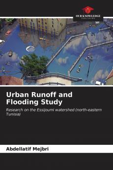 Urban Runoff and Flooding Study