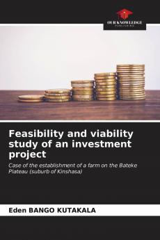 Feasibility and viability study of an investment project