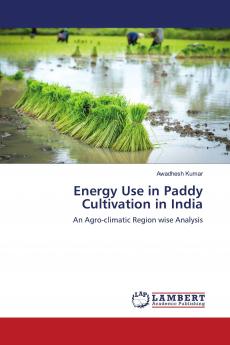 Energy Use in Paddy Cultivation in India
