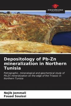 Depositology of Pb-Zn mineralization in Northern Tunisia