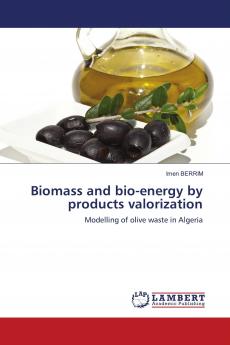 Biomass and bio-energy by products valorization