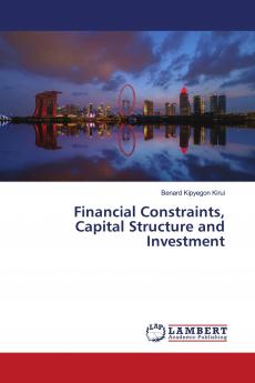 Financial Constraints Capital Structure and Investment