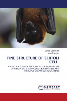 FINE STRUCTURE OF SERTOLI CELL