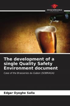 The development of a single Quality Safety Environment document