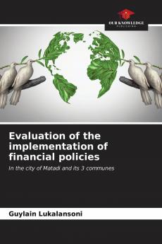 Evaluation of the implementation of financial policies
