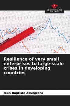 Resilience of very small enterprises to large-scale crises in developing countries