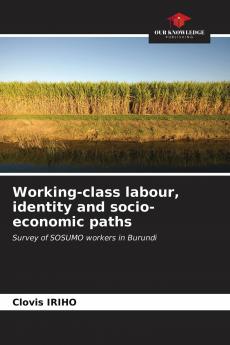 Working-class labour identity and socio-economic paths