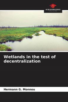 Wetlands in the test of decentralization