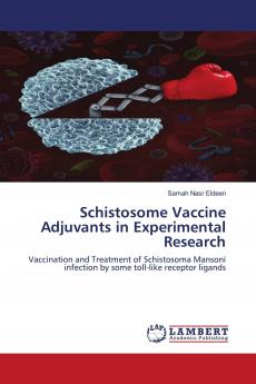 Schistosome Vaccine Adjuvants in Experimental Research