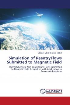 Simulation of ReentryFlows Submitted to Magnetic Field