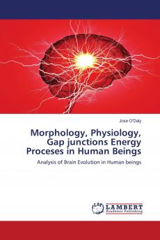 Morphology Physiology Gap junctions Energy Proceses in Human Beings