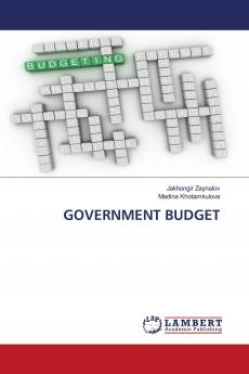 GOVERNMENT BUDGET