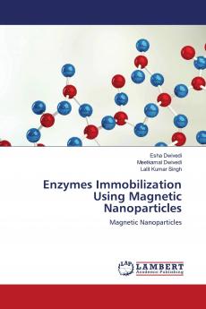 Enzymes Immobilization Using Magnetic Nanoparticles