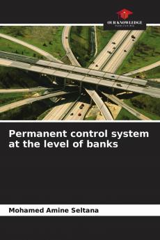 Permanent control system at the level of banks