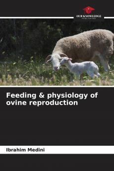 Feeding & physiology of ovine reproduction