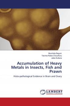 Accumulation of Heavy Metals in Insects Fish and Prawn
