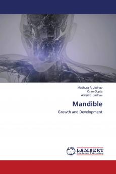 Mandible