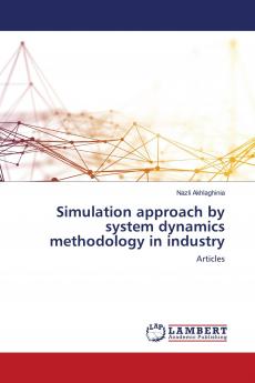 Simulation approach by system dynamics methodology in industry