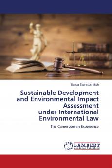 Sustainable Development and Environmental Impact Assessment under International Environmental Law