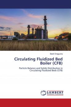 Circulating Fluidized Bed Boiler (CFB)