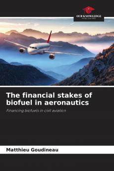 The financial stakes of biofuel in aeronautics