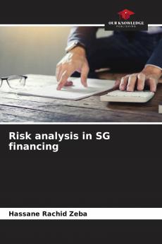 Risk analysis in SG financing