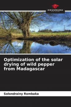 Optimization of the solar drying of wild pepper from Madagascar
