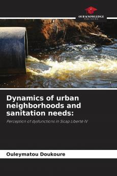 Dynamics of urban neighborhoods and sanitation needs: