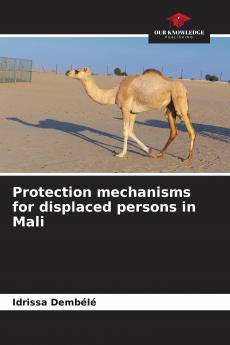Protection mechanisms for displaced persons in Mali