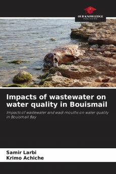 Impacts of wastewater on water quality in Bouismail