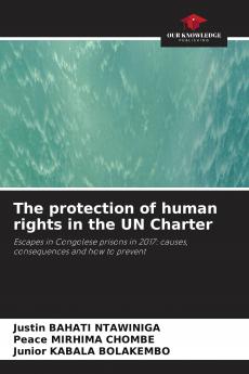 The protection of human rights in the UN Charter