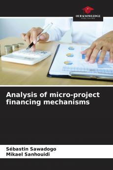 Analysis of micro-project financing mechanisms