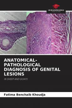 ANATOMICAL-PATHOLOGICAL DIAGNOSIS OF GENITAL LESIONS