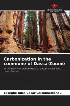 Carbonization in the commune of Dassa-Zoum��
