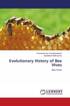 Evolutionary History of Bee Hives