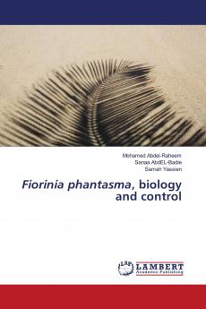 Fiorinia phantasma biology and control