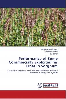 Performance of Some Commercially Exploited ms Lines in Sorghum