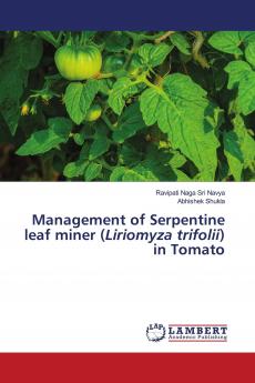 Management of Serpentine leaf miner (Liriomyza trifolii) in Tomato