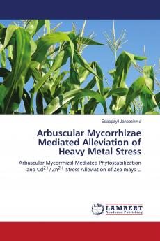 Arbuscular Mycorrhizae Mediated Alleviation of Heavy Metal Stress