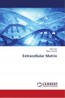 Extracellular Matrix