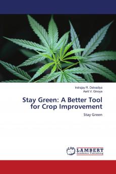 Stay Green: A Better Tool for Crop Improvement