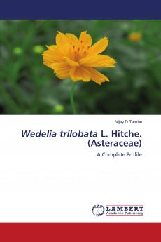 Wedelia trilobata L. Hitche. (Asteraceae)