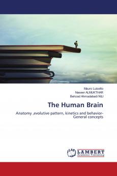 The Human Brain