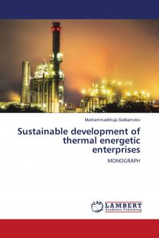Sustainable development of thermal energetic enterprises